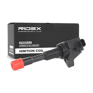 RIDEX 689C0136