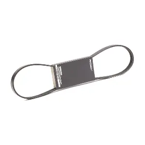 305P0369 RIDEX