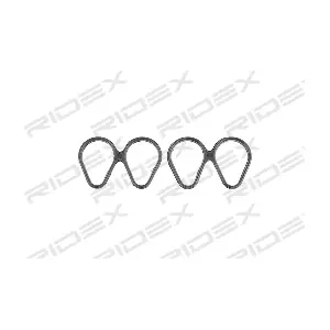 43G0010 RIDEX