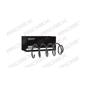 RIDEX 188C0213