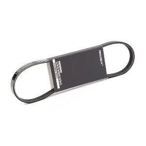305P0221 RIDEX