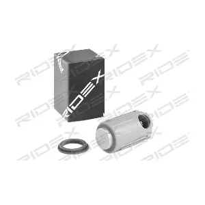 2412P0055 RIDEX