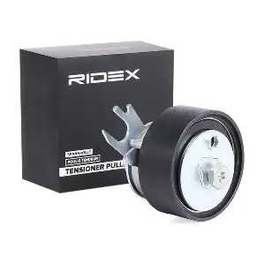 308T0021 RIDEX