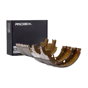 RIDEX 70B0250