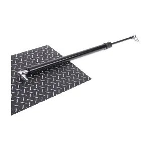 219G0489 RIDEX