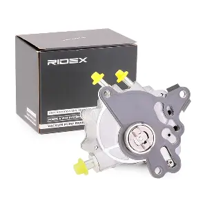 387V0009 RIDEX
