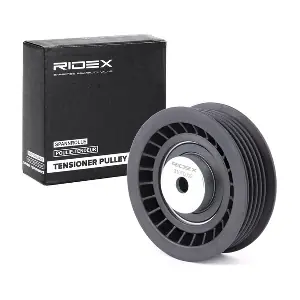 310T0009 RIDEX