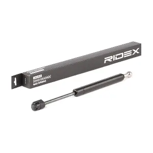 219G0842 RIDEX