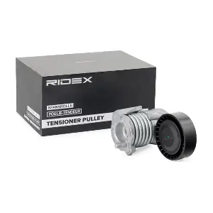310T0178 RIDEX