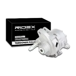 541V0008 RIDEX