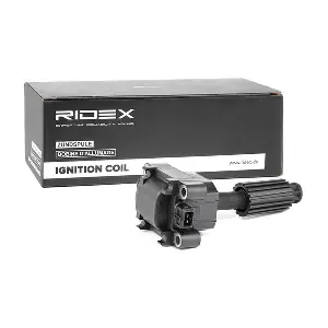 RIDEX 689C0223