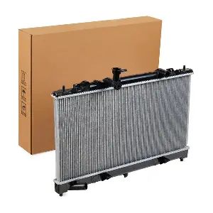 RIDEX 470R0691