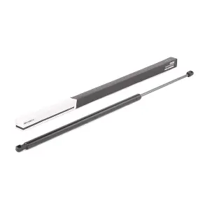 219G0650 RIDEX