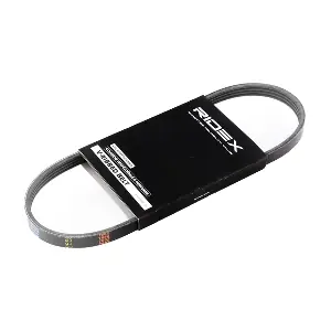 RIDEX 305P0167