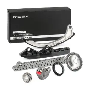 1389T0055 RIDEX