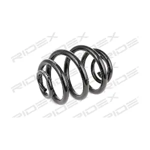 188C0595 RIDEX