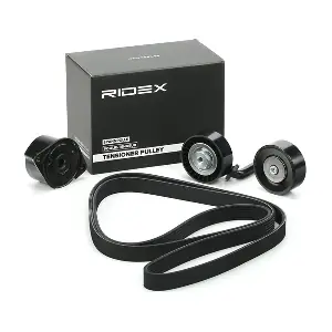 542R0089 RIDEX