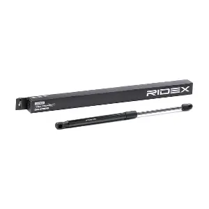 219G0925 RIDEX