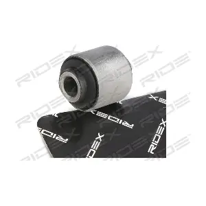 251T0619 RIDEX