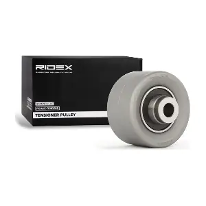 RIDEX 313D0074