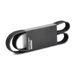 305P0489 RIDEX