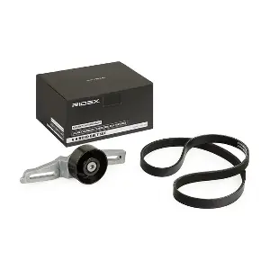 542R0242 RIDEX