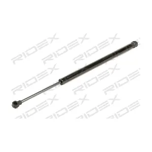 2454G0024 RIDEX