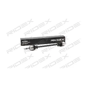13D0299 RIDEX