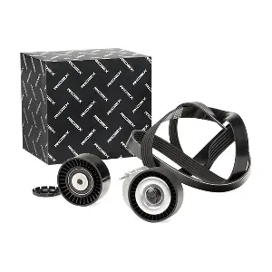 542R0057 RIDEX