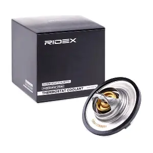 RIDEX 316T0055
