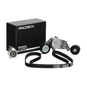 RIDEX 542R0660