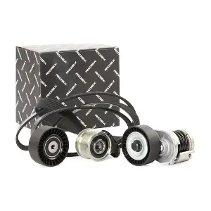 542R0257 RIDEX
