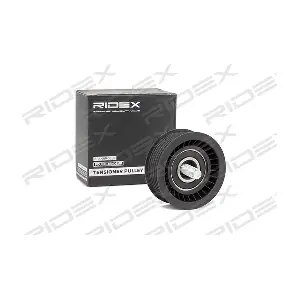 RIDEX 310T0089