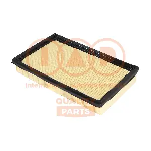 121-21010G IAP QUALITY PARTS