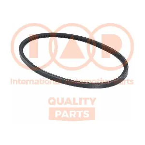 IAP QUALITY PARTS 140-20060