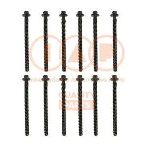 119-20101 IAP QUALITY PARTS