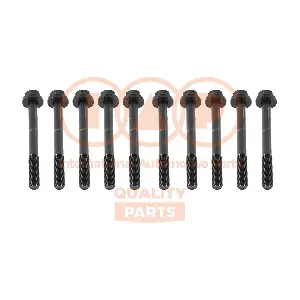 119-20061P IAP QUALITY PARTS