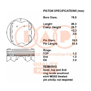 10013113 IAP QUALITY PARTS