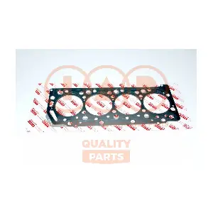 118-12022 IAP QUALITY PARTS