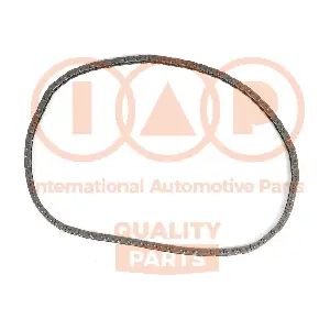 IAP QUALITY PARTS 128-16077