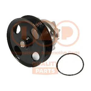 IAP QUALITY PARTS 150-16077P