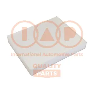 IAP QUALITY PARTS 821-04042
