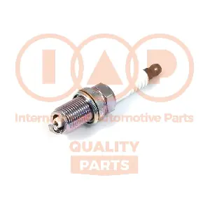 IAP QUALITY PARTS 809-28031