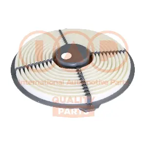IAP QUALITY PARTS 121-17088