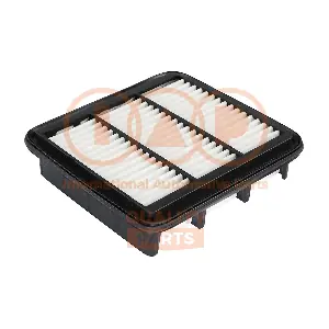 IAP QUALITY PARTS 121-21100
