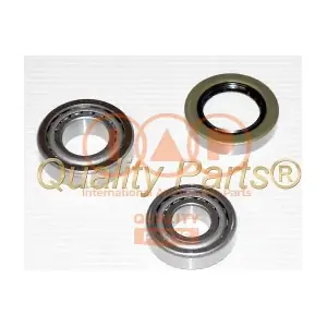IAP QUALITY PARTS 40920062K
