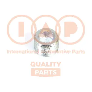 IAP QUALITY PARTS 162-16076