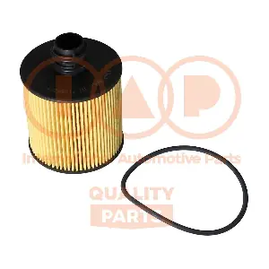 IAP QUALITY PARTS 123-08010