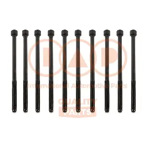 119-16100 IAP QUALITY PARTS