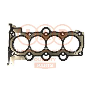 118-21100 IAP QUALITY PARTS